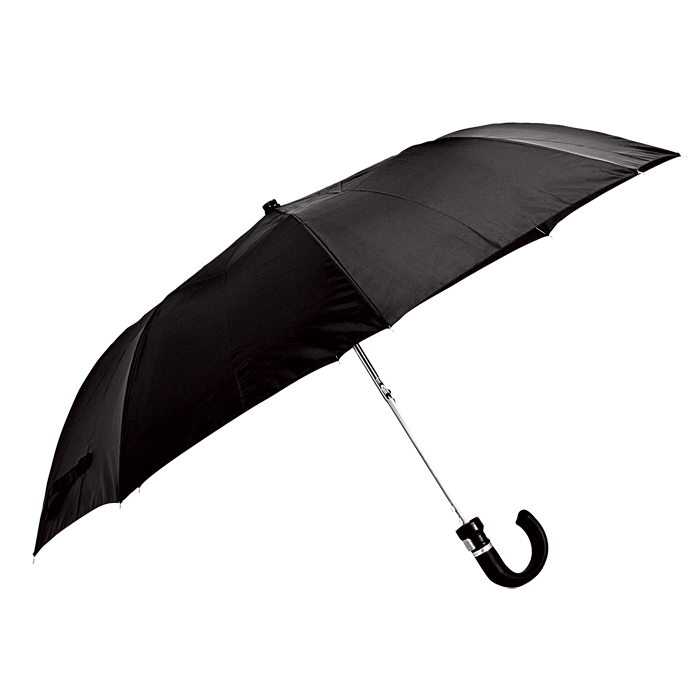 2 Fold Umbrella