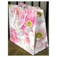 Multi Color Paper Bags