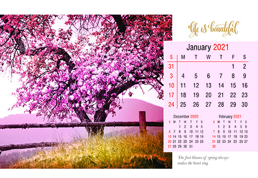 Beautiful Life Desk Calendar 2021
